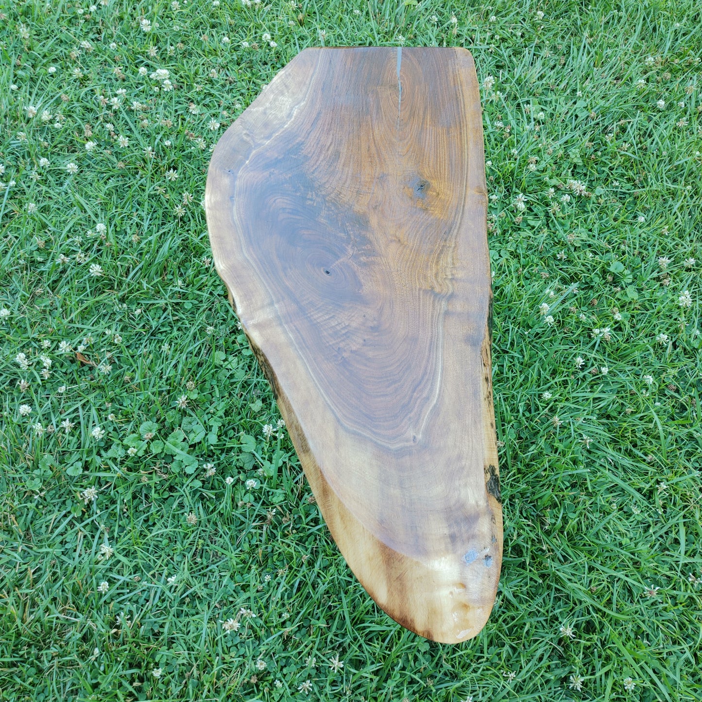 Minimalist Black Walnut Live Edge End Table