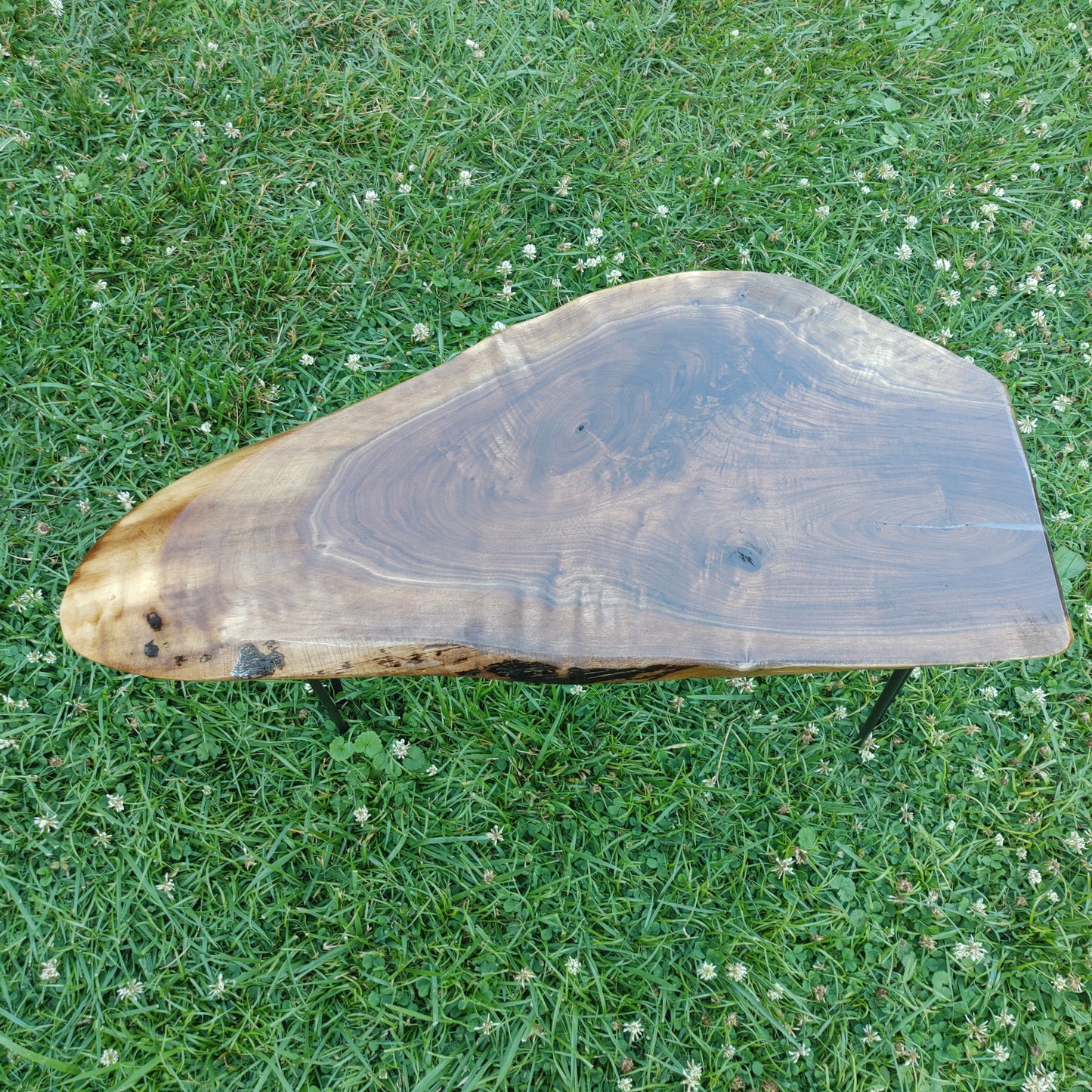 Minimalist Black Walnut Live Edge End Table