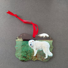 Load image into Gallery viewer, Personalized Double Sided Photo Ornament
